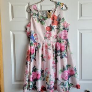 NWT Molly Bracken Womens Size XL Floral A-Line Dress